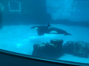 名古屋港水族館に投稿された画像（2022/1/2）