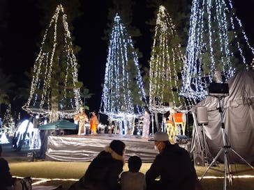 美らヤシパークオキナワ・東南植物楽園に投稿された画像（2022/1/2）