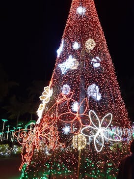 美らヤシパークオキナワ・東南植物楽園に投稿された画像（2022/1/2）