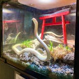 体感型動物園iZooに投稿された画像（2022/1/2）