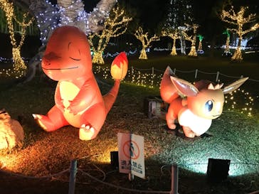 美らヤシパークオキナワ・東南植物楽園に投稿された画像（2022/1/2）