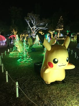 美らヤシパークオキナワ・東南植物楽園に投稿された画像（2022/1/2）