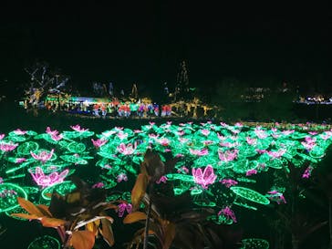 美らヤシパークオキナワ・東南植物楽園に投稿された画像（2022/1/2）