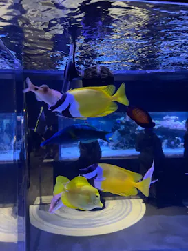 すみだ水族館に投稿された画像（2022/1/2）