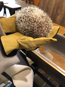 HARRY　原宿駅前店に投稿された画像（2022/1/2）