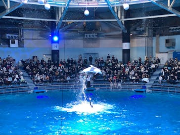 マクセル アクアパーク品川に投稿された画像（2022/1/2）