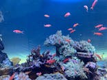 サンシャイン水族館に投稿された画像（2022/1/2）