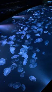 すみだ水族館に投稿された画像（2022/1/2）