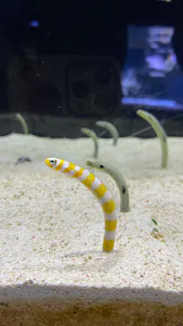 すみだ水族館に投稿された画像（2022/1/2）