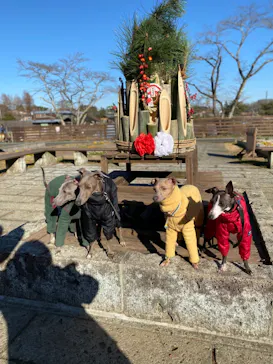 わんダフルネイチャーヴィレッジに投稿された画像（2022/1/2）