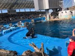 名古屋港水族館に投稿された画像（2022/1/2）
