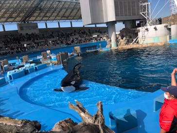 名古屋港水族館に投稿された画像（2022/1/2）