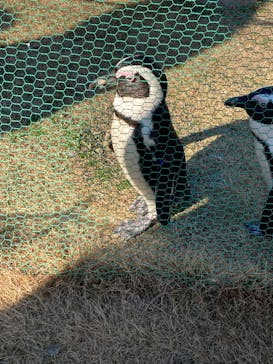 名古屋港水族館に投稿された画像（2022/1/2）