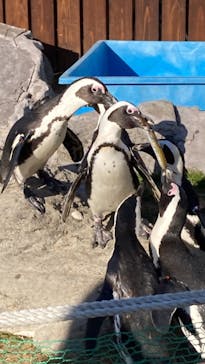 名古屋港水族館に投稿された画像（2022/1/2）