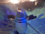 すみだ水族館に投稿された画像（2022/1/2）