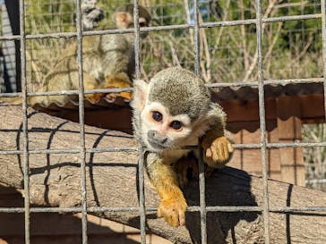 しろとり動物園に投稿された画像（2022/1/2）