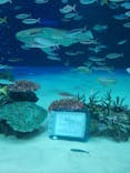 サンシャイン水族館に投稿された画像（2022/1/2）