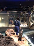 すみだ水族館に投稿された画像（2022/1/2）