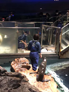 すみだ水族館に投稿された画像（2022/1/2）