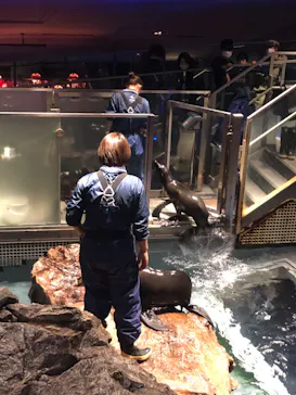 すみだ水族館に投稿された画像（2022/1/2）