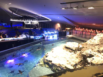 すみだ水族館に投稿された画像（2022/1/2）