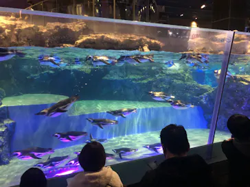 すみだ水族館に投稿された画像（2022/1/2）