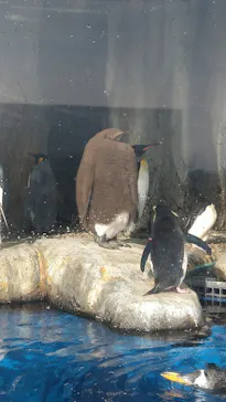 仙台うみの杜水族館に投稿された画像（2022/1/2）