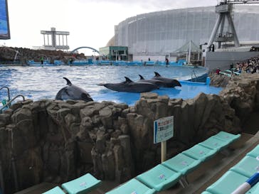 名古屋港水族館に投稿された画像（2022/1/2）