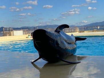 マリンワールド海の中道に投稿された画像（2022/1/2）