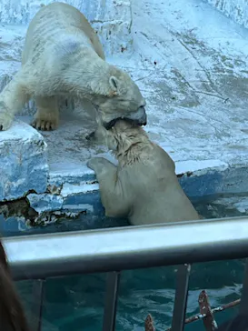 天王寺動物園に投稿された画像（2022/1/2）