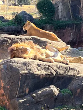 天王寺動物園に投稿された画像（2022/1/2）
