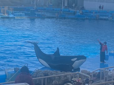 名古屋港水族館に投稿された画像（2022/1/2）