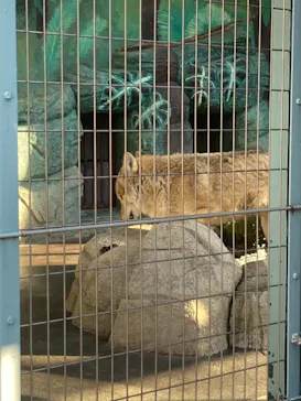 天王寺動物園に投稿された画像（2022/1/2）