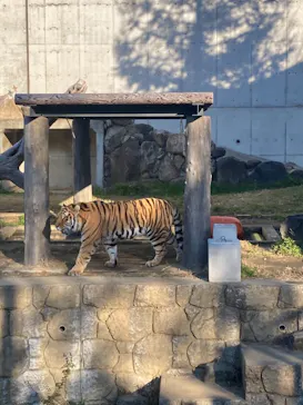 天王寺動物園に投稿された画像（2022/1/2）