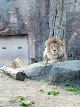 天王寺動物園に投稿された画像（2022/1/2）