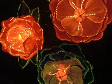 体験王国 むら咲むらに投稿された画像（2021/12/19）