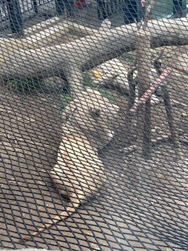 沖縄こどもの国に投稿された画像（2022/1/2）