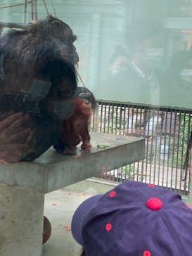 沖縄こどもの国に投稿された画像（2022/1/2）