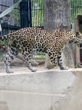 沖縄こどもの国に投稿された画像（2022/1/2）