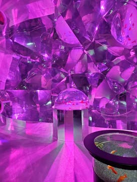 登別マリンパークニクスに投稿された画像（2022/1/2）