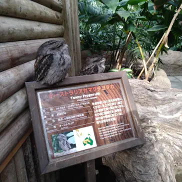 神戸どうぶつ王国に投稿された画像（2022/1/2）