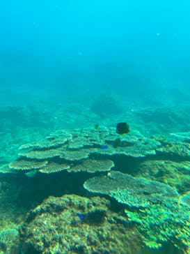 串本海中公園水族館に投稿された画像（2022/1/2）