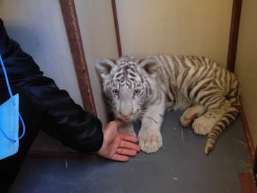 しろとり動物園に投稿された画像（2022/1/2）