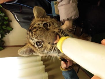 しろとり動物園に投稿された画像（2022/1/2）