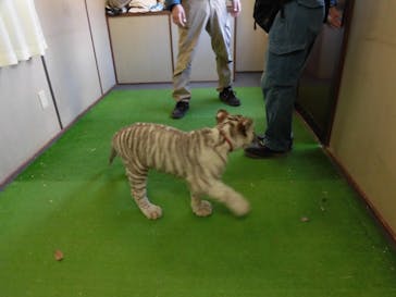 しろとり動物園に投稿された画像（2022/1/2）