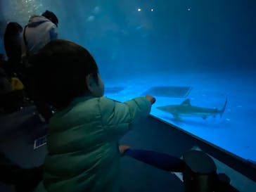 名古屋港水族館に投稿された画像（2022/1/2）