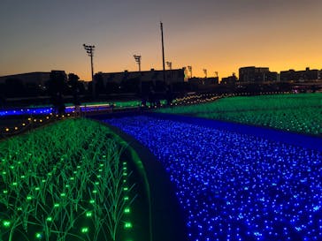 東京メガイルミに投稿された画像（2022/1/2）