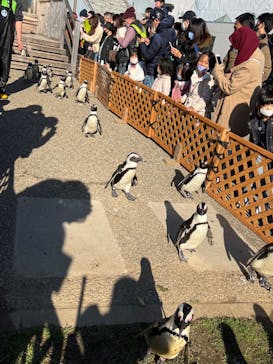 名古屋港水族館に投稿された画像（2022/1/2）