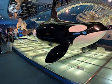名古屋港水族館に投稿された画像（2022/1/2）
