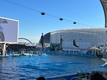 名古屋港水族館に投稿された画像（2022/1/2）